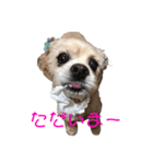 めるくんのスタンプ（個別スタンプ：12）