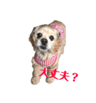 めるくんのスタンプ（個別スタンプ：13）