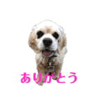 めるくんのスタンプ（個別スタンプ：16）