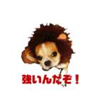 スムースチワワのジェイさんとピーちゃん（個別スタンプ：18）