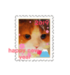 A happy new year and a stamp.（個別スタンプ：1）