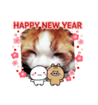 A happy new year and a stamp.（個別スタンプ：4）