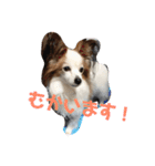 まろん ☆（個別スタンプ：8）