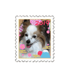 まろん ☆（個別スタンプ：14）