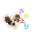 まろん ☆（個別スタンプ：16）