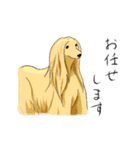 afghan hounds（個別スタンプ：2）