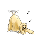 afghan hounds（個別スタンプ：8）