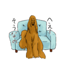 afghan hounds（個別スタンプ：10）