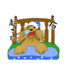 afghan hounds（個別スタンプ：13）