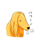 afghan hounds（個別スタンプ：19）