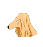 afghan hounds（個別スタンプ：20）