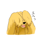 afghan hounds（個別スタンプ：25）