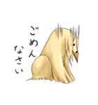 afghan hounds（個別スタンプ：27）