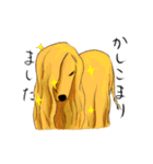 afghan hounds（個別スタンプ：28）