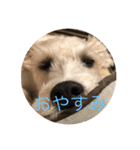 ピーナッツのハッピーライフです（個別スタンプ：2）