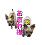 美瑠希＆美魅（個別スタンプ：5）
