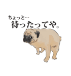関西犬の犬達（個別スタンプ：6）
