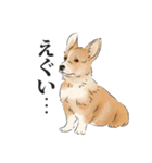 関西犬の犬達（個別スタンプ：9）