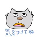 人情味あふれる猫さん   第1弾（個別スタンプ：40）