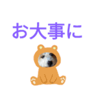ペット集まれ～（個別スタンプ：22）