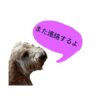 ペット集まれ～（個別スタンプ：27）