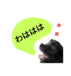 ペット集まれ～（個別スタンプ：32）