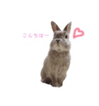 モカちゃんズ2（個別スタンプ：2）