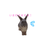モカちゃんズ2（個別スタンプ：8）
