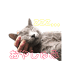 ロシブルのソレイユすたんぷ（個別スタンプ：2）