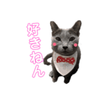 ロシブルのソレイユすたんぷ（個別スタンプ：6）
