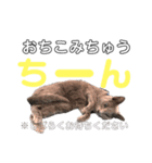 ロシブルのソレイユすたんぷ（個別スタンプ：7）