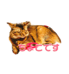 ちょことはむは仲良し（個別スタンプ：1）