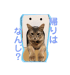 ちょことはむは仲良し（個別スタンプ：16）