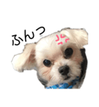 いろんな…き・も・ち（個別スタンプ：1）