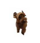 トイプードル～モカ（個別スタンプ：5）