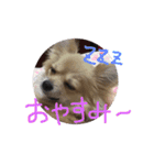 ツナときどき空（個別スタンプ：1）