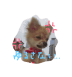 ツナときどき空（個別スタンプ：2）