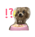 ツナときどき空（個別スタンプ：3）
