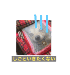 ツナときどき空（個別スタンプ：5）