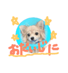 ツナときどき空（個別スタンプ：6）