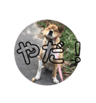 ツナときどき空（個別スタンプ：9）