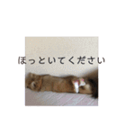 ツナときどき空（個別スタンプ：10）