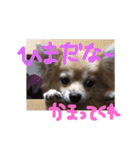 ツナときどき空（個別スタンプ：11）