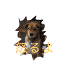 ツナときどき空（個別スタンプ：12）
