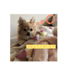 ツナときどき空（個別スタンプ：13）