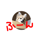 ツナときどき空（個別スタンプ：14）