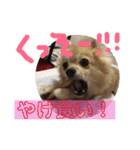 ツナときどき空（個別スタンプ：15）