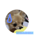 ツナときどき空（個別スタンプ：19）