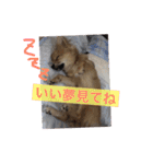 ツナときどき空（個別スタンプ：23）