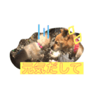 ツナときどき空2（個別スタンプ：1）